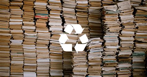 Can I Put Books in the Recycle Bin? And Other Intriguing Thoughts